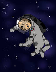 Space Cat!