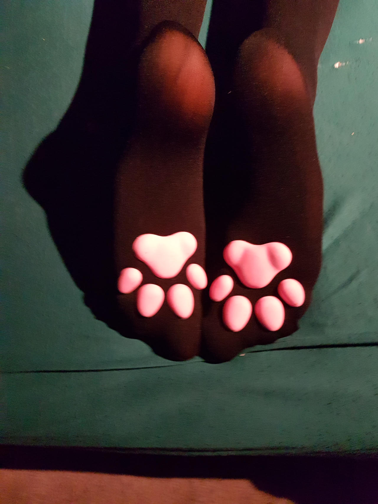 Pawsocks Fan Sign Paw Socks 1 by Foxi131 on DeviantArt
