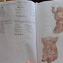 Fakemon pokedex entered
