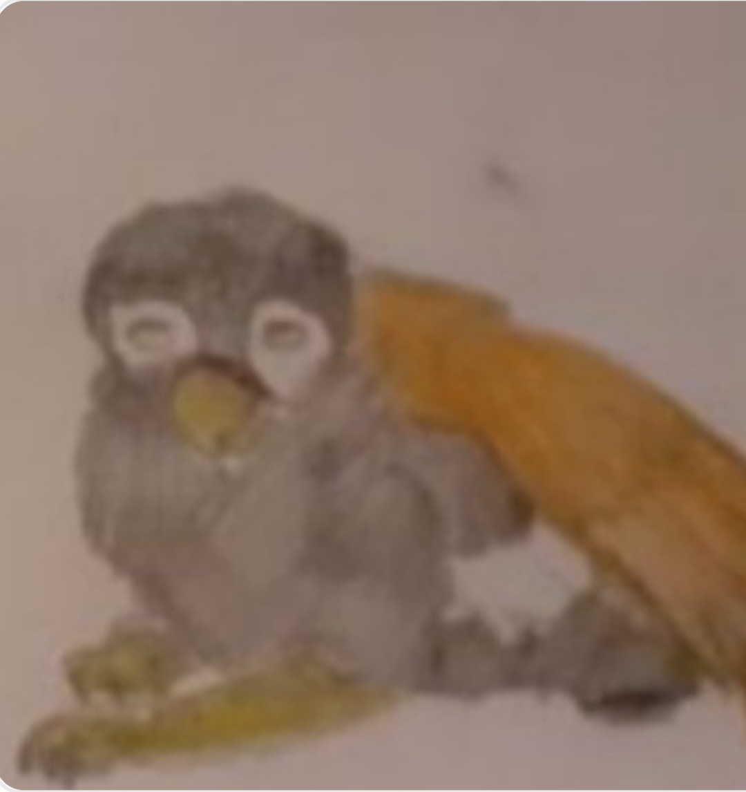 My fifth year at Hogwarts ch 5