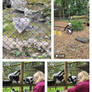 Experience ruffle tail tail lemur