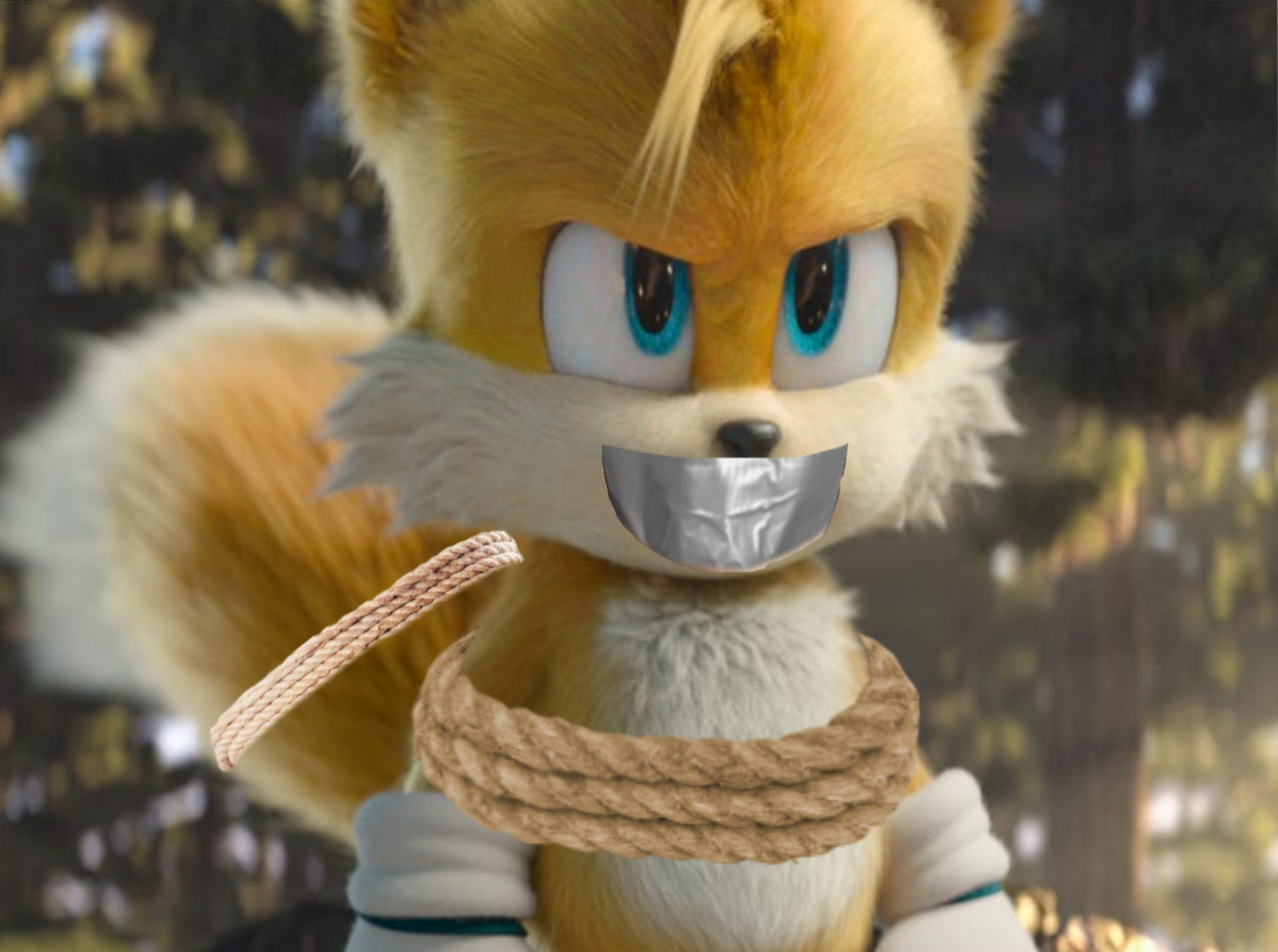 Tails Bath Rope Tails tied and taped gagged by sonicthesuriver on DeviantArt