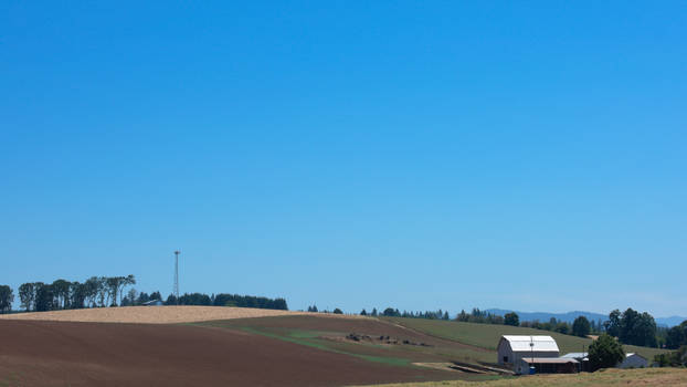 Rural Landscape