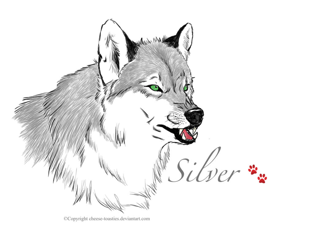 Silver (OC) 