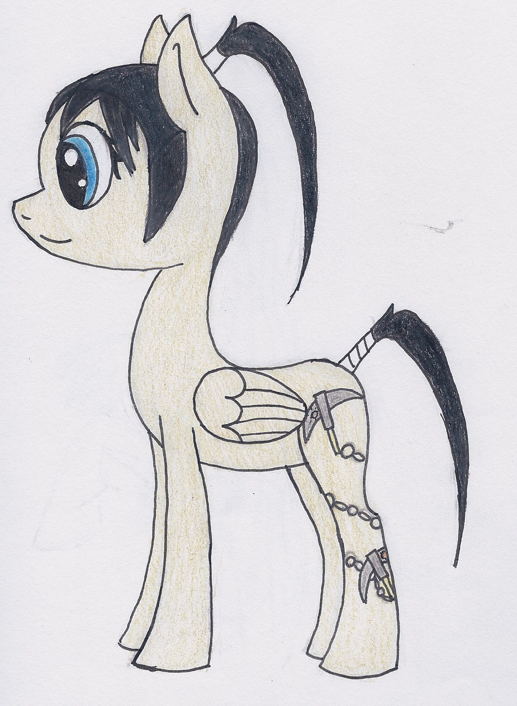 Tsubaki Pony