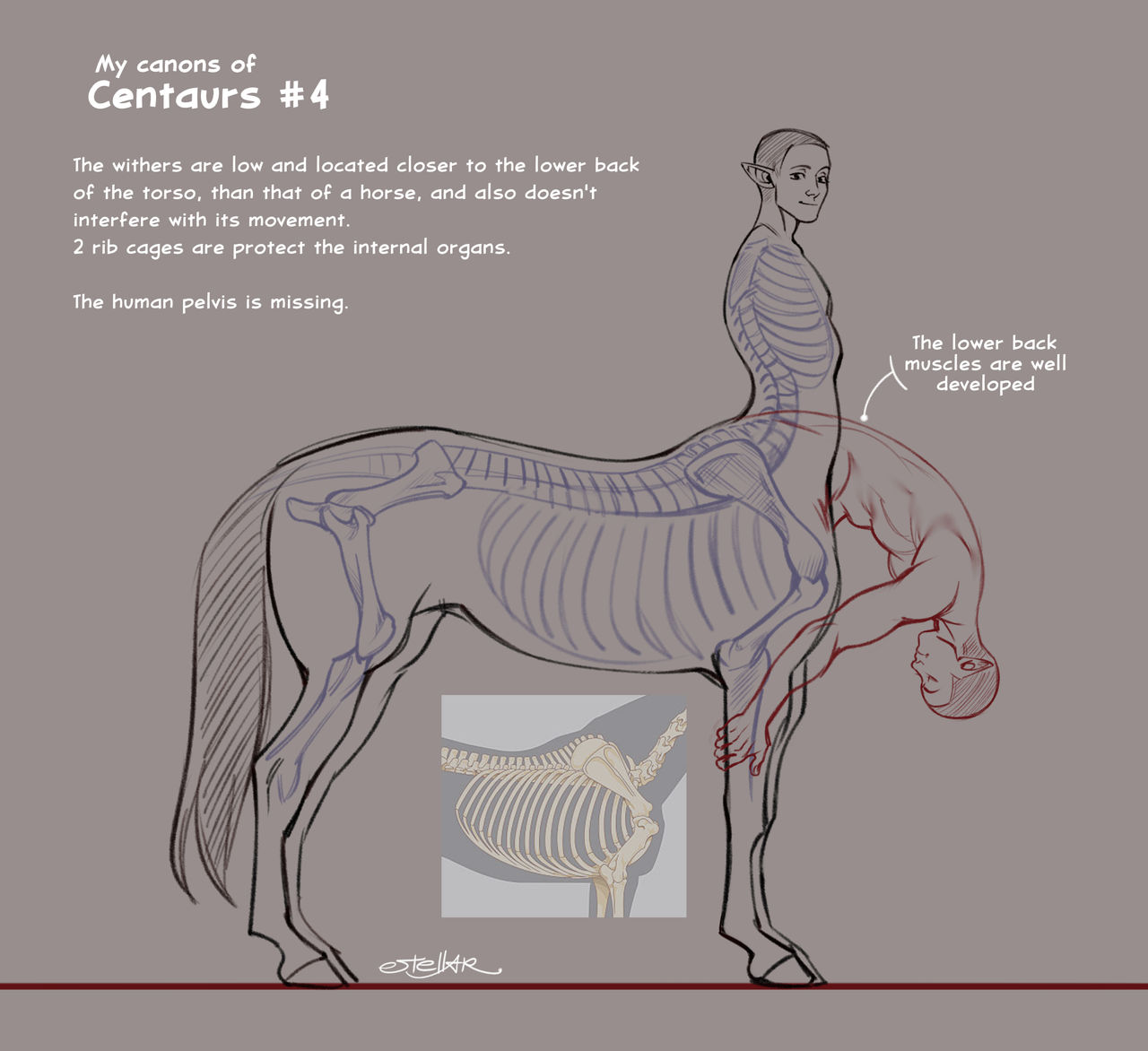 Equius Centaur My canons of centaurs #4 by LucasEstellar on DeviantArt