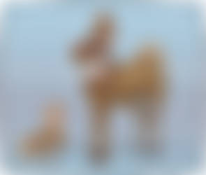 189