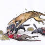 Thylacine hunting Tas devils