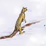Thylacine footprint in the snow