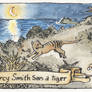 Thylacine sighting Ulverstone 1910