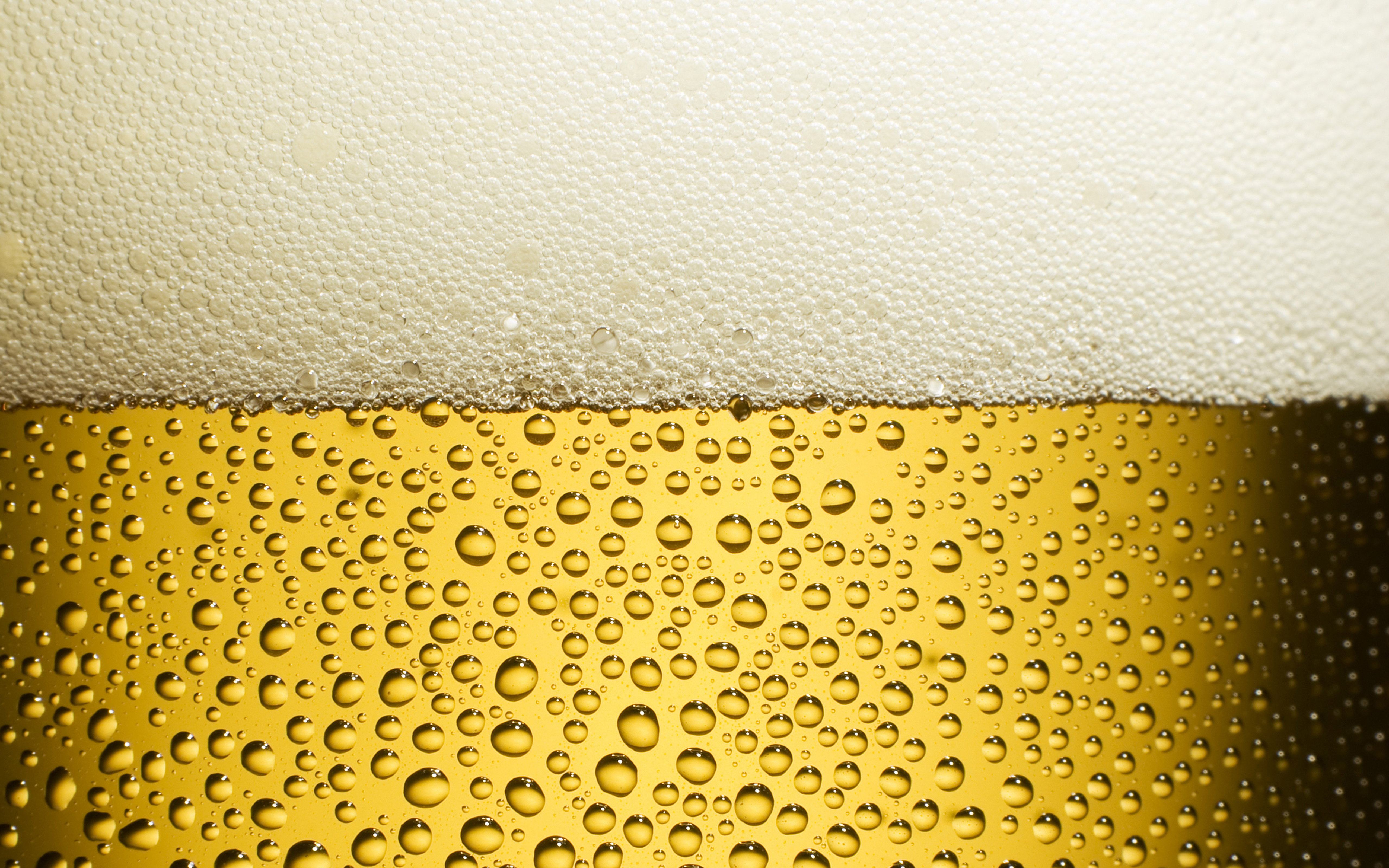 takeabeer request  5120x3200