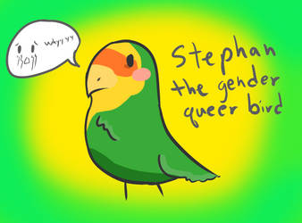 Stephan The Gender Queer