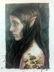 elf portrait