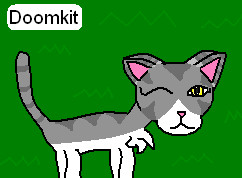 Doomkit one of my Rp cats by Amberstar911