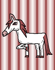 Horse Drawing Try