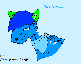 Shellstorm head shot