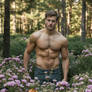 Forest king, pines and heather..