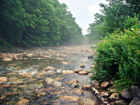 Stones Under Rushing Water.