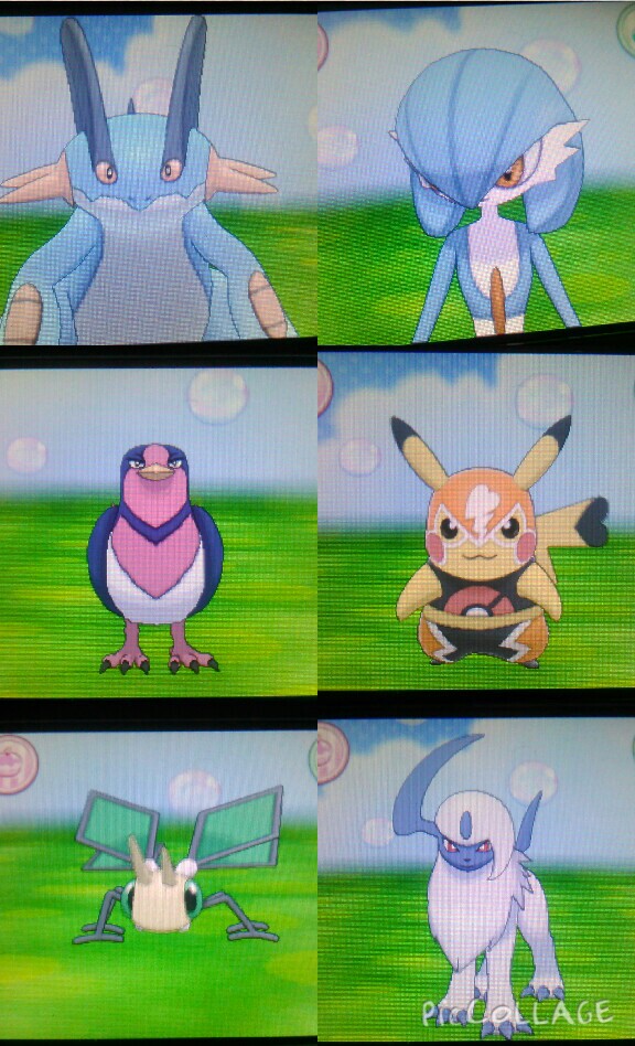 My Alpha Sapphire team!