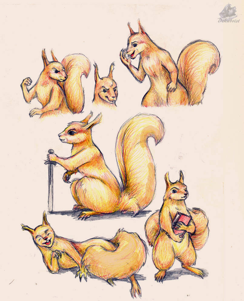 Deviantart Risumon Squirrel Squirrels by DekabristMouse on DeviantArt
