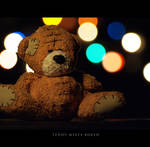 Teddy meets bokeh by piximi