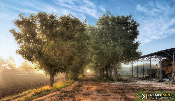 Rural Tunnel