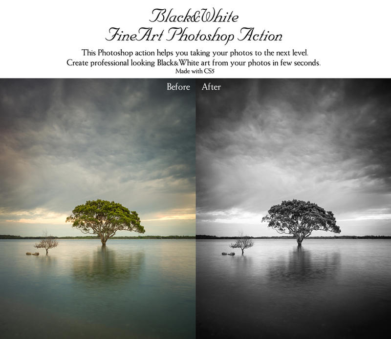 Black and White FineArt Photoshop Action by piximi Black and White FineArt Photoshop Action by piximi