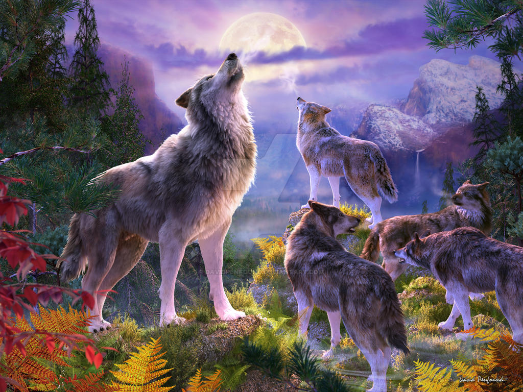 Wolf Pack Picture Landscape By Davidpenfound On Deviantart