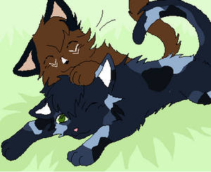 Bramblepaw and Rainpaw