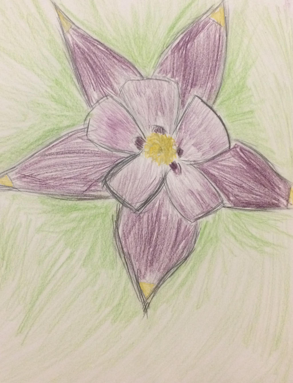 Purple Flower