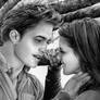 Twilight- Edward and Bella
