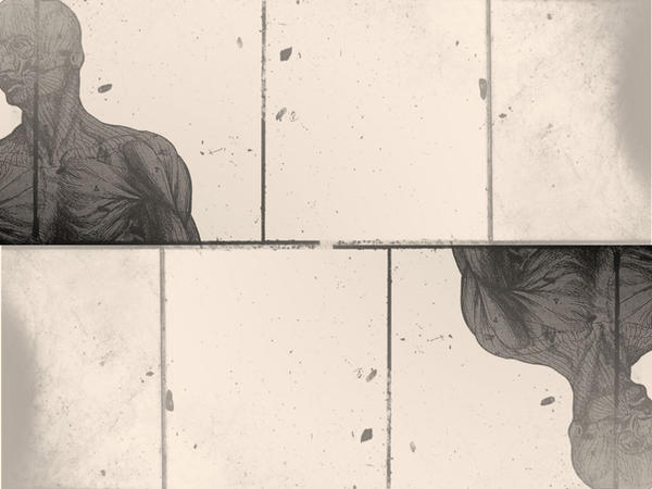 dissection studio by amdb on DeviantArt