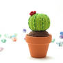 Round Barrel Cactus
