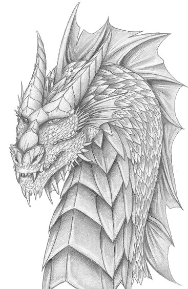 Dragon Head Sketch