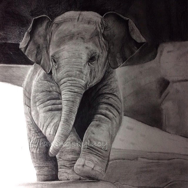 Baby elephant drawing by LucyCrt