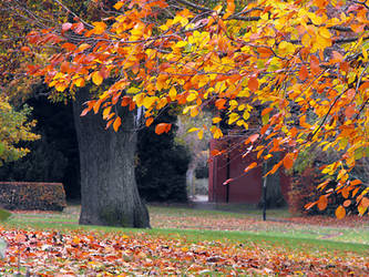 Fall in Newtown by linandara