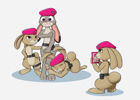 Judy Join the Pink Berets