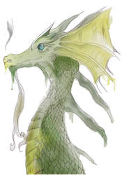 Watercolour dragon