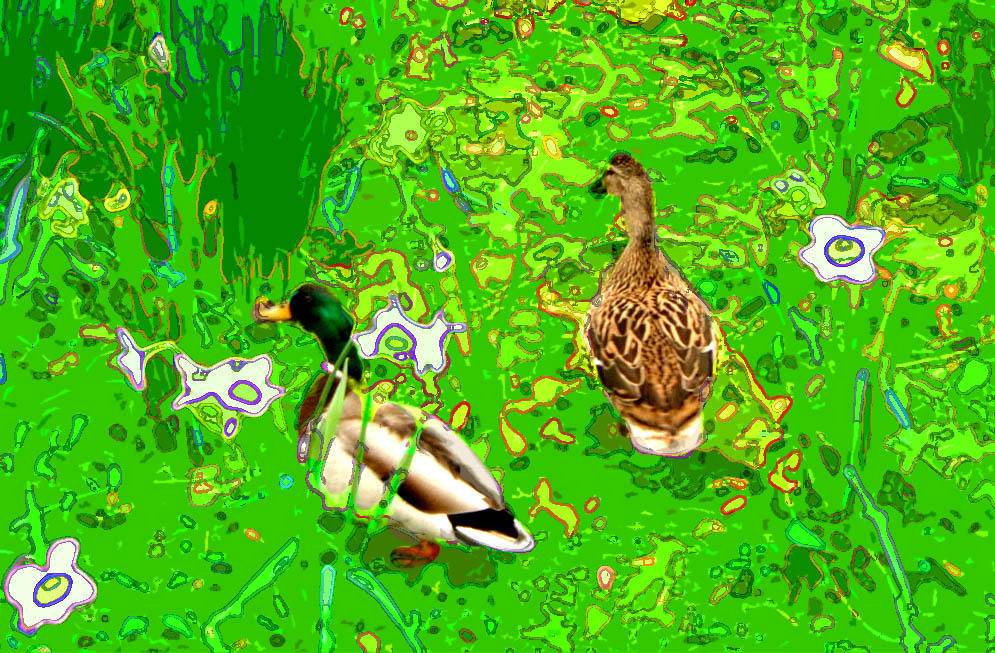Quack Out What Is A Muck Savage at Hudson Facy blog