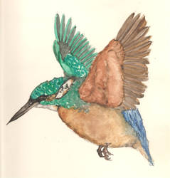 bird 3