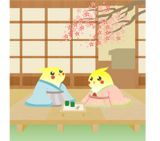 kimono cockatiels