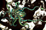 The Millionth Octopus by BradtheHorseman