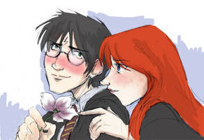 Harry Potter and Ginny Weasley