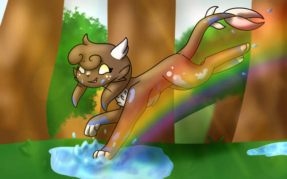 {DTAE} A Splash to a Rainbow