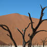 Deadvlei