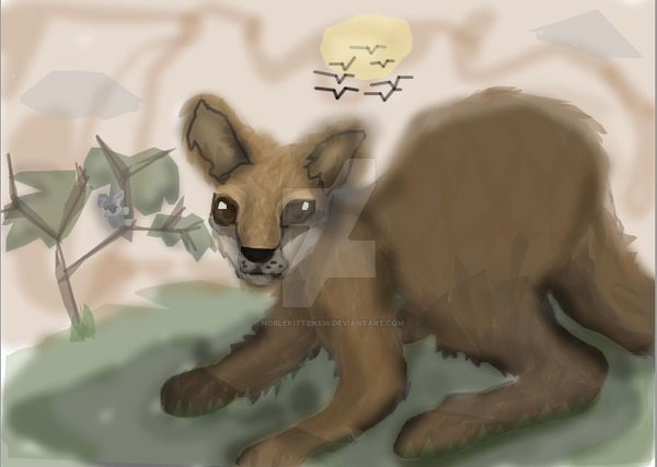Kangaroo by Noblekitten336 on DeviantArt