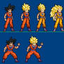 Goku NZC