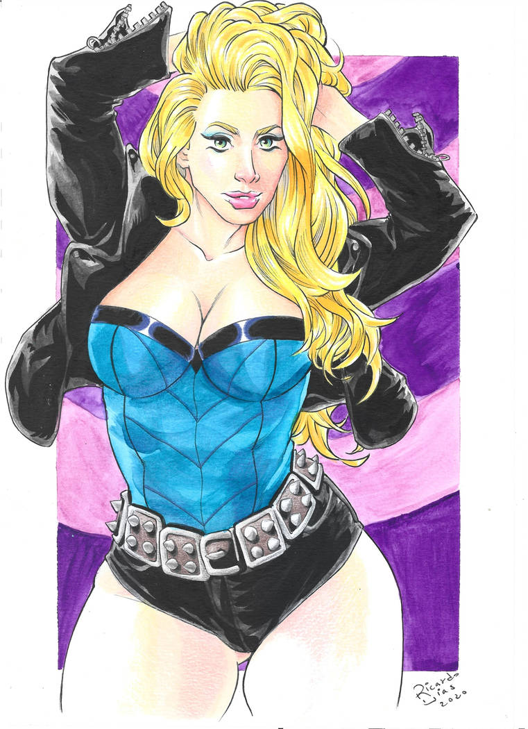 Canario Negro Black Canary by RicoDiasart on DeviantArt