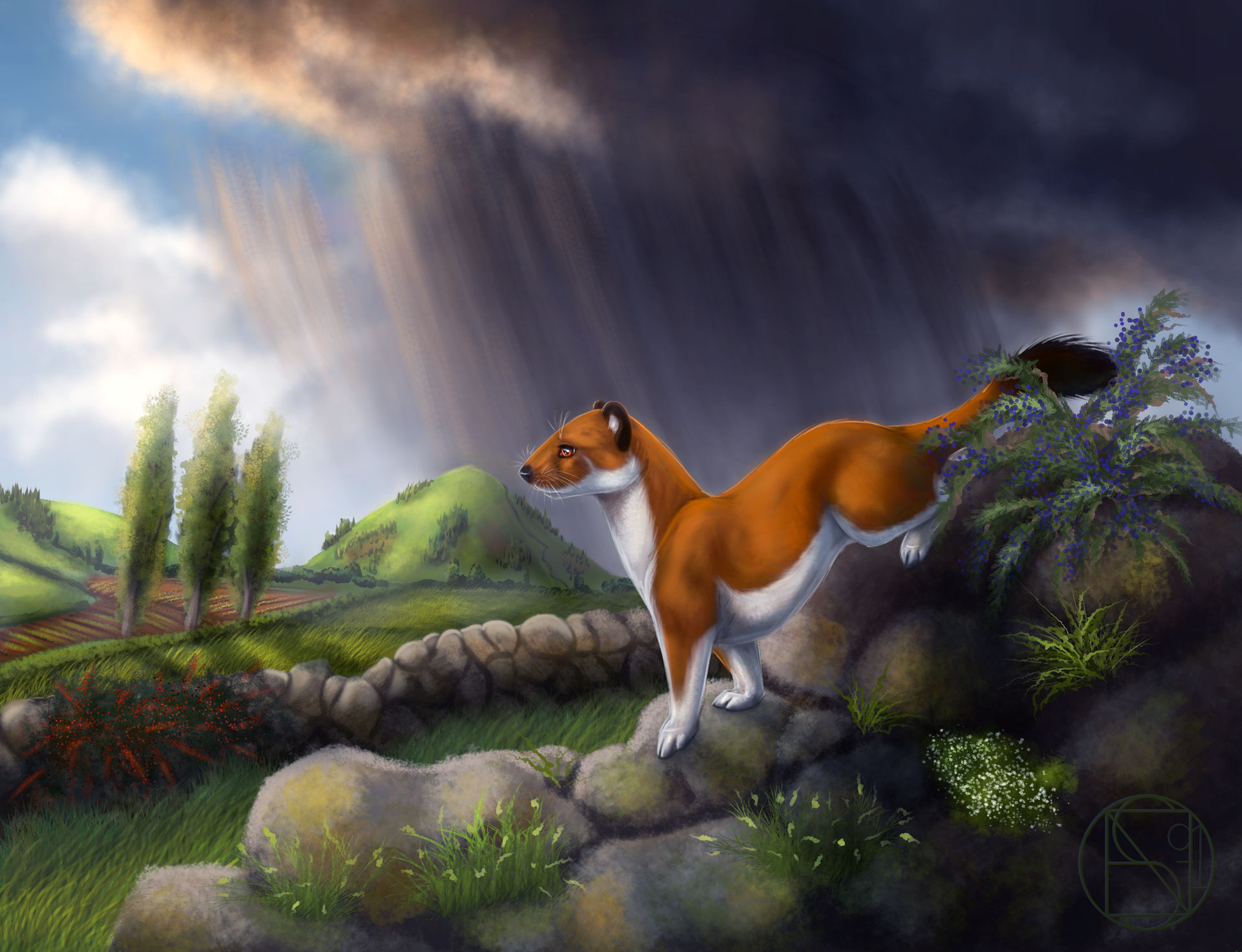 Stoat Voodoo Stoat by NEvans-91 on DeviantArt