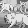 Rohan, Anissa, Boogeyman, Superbeast RoF